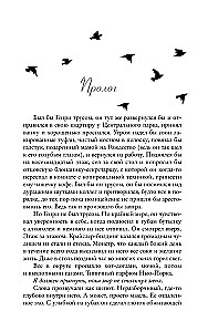 Akademia Czarnego Ptaka. Zniszczyć ciemność